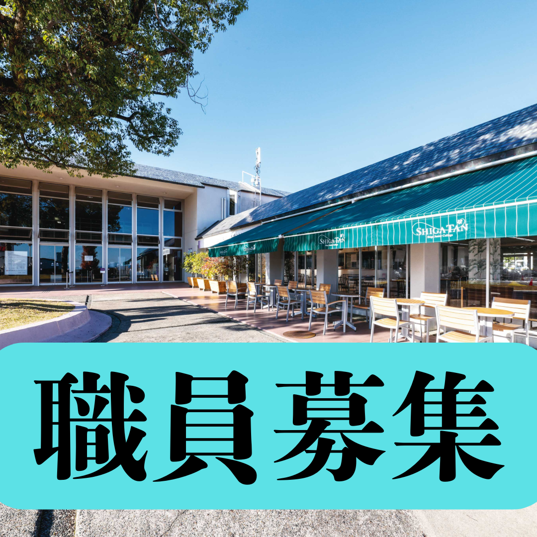 採用情報