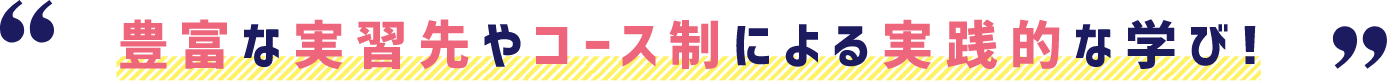 豊富な実習先やコース制による実践的な学び